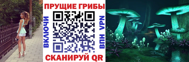 Галлюциногенные грибы MAGIC MUSHROOMS  закладки  Моздок 