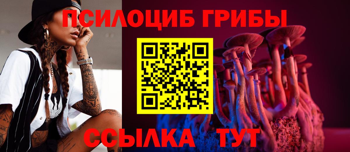 Галлюциногенные грибы мицелий Моздок
